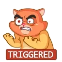 😡