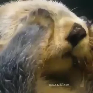 😪
