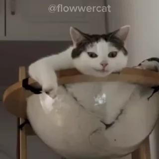 😐