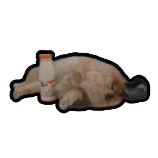 😴