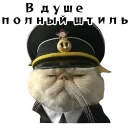 😎