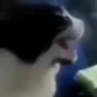 😁