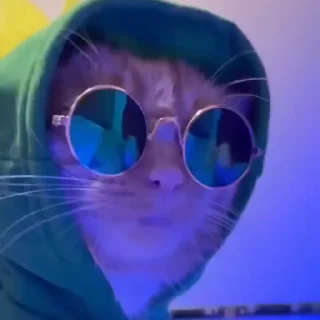 🤩