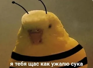 🐝