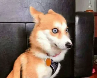 😐