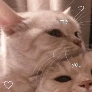 🧡