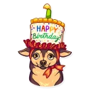 🎂