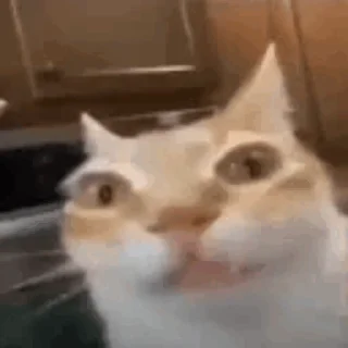 😐