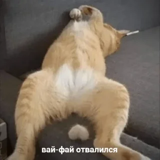 🙃