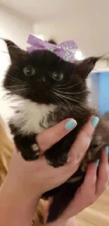 🥰