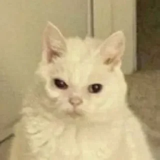 😤