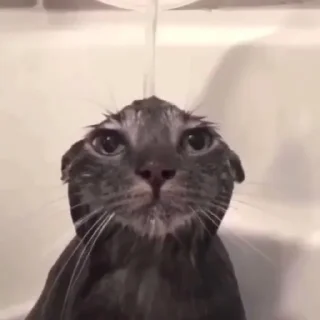 😐