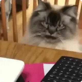 😡