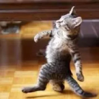 🕺