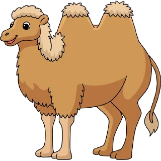 🐫