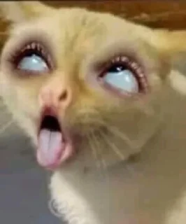 🤭