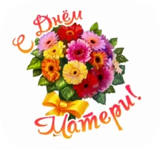 🌺