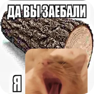 🤲
