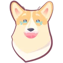 🐶