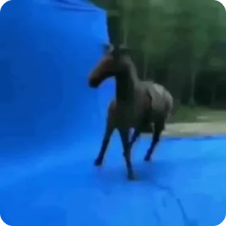 🌟