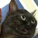 🤪