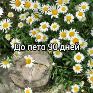 ☀️