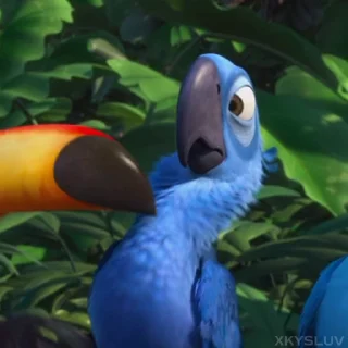 🦜