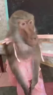 😱