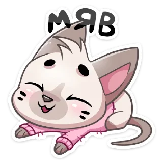 😺