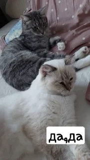 👩‍❤️‍👨