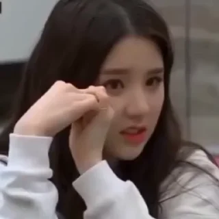 🐰