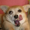 😜