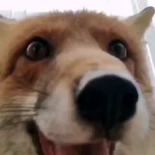 😃