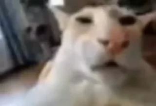 😐