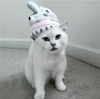 💙