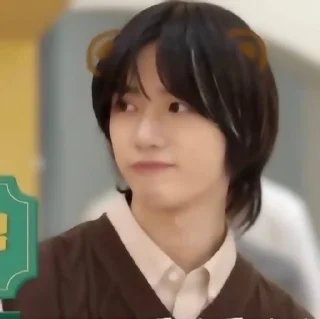 🐻
