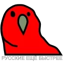 😂
