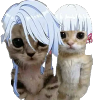 😾