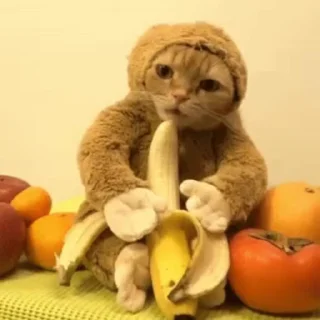 🍌