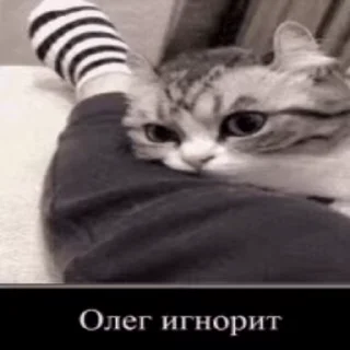 😓