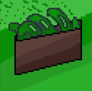 💵