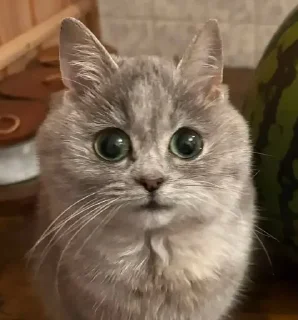 😕