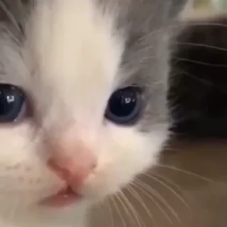 😐