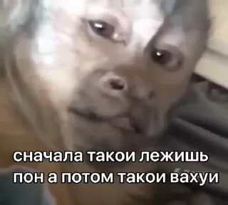 🤣
