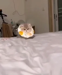 😌