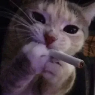 🚬