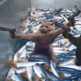 🔫