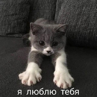 💖