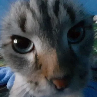 😳