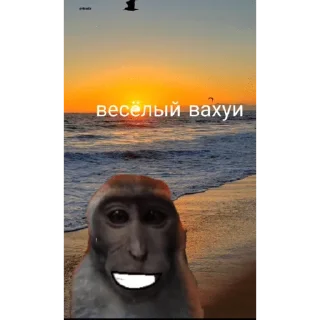 🐵